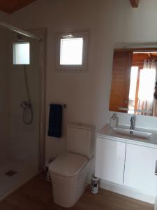 a bathroom with a toilet and a sink at El Refugio in Guía de Isora +22 photos