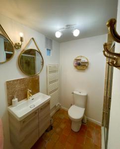 a bathroom with a toilet and a sink and a mirror at Maison de campagne, Gîte rouge in Brigné