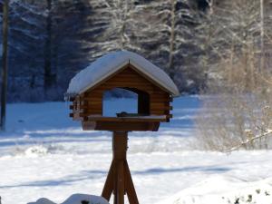 uma casa de pássaros de madeira com neve em cima em Haus Gisela em Forbach