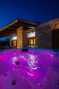 Swimmingpoolen hos eller tæt på Holiday Home Svemir