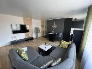 TV a/nebo společenská místnost v ubytování Puiestee apartment