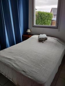 Bett in einem Zimmer mit Fenster in der Unterkunft Maison calme et lumineuse de plain-pied in Cabourg