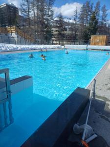 un groupe de personnes nageant dans une piscine dans l'établissement Le grand cerf le Pelvou, à Vars