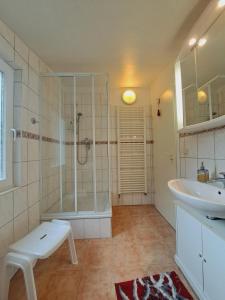 a bathroom with a shower and a sink at Heidtschmidhof Gästehaus in Wolgast