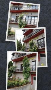 a collage of photos of a building with plants at Smeštaj - sobe MARVEL in Niš