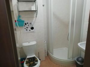Koupelna v ubytování Apartmány Karlov pod Pradědem