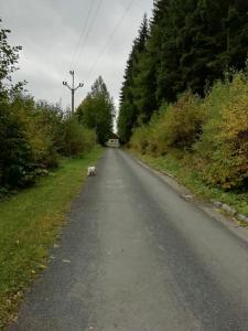 Příroda nedaleko apartmánu