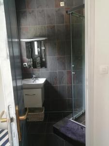 een badkamer met een douche, een wastafel en een spiegel bij Le Coin Du Bois En Touraine in Château-la-Vallière