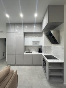 Kuchyň nebo kuchyňský kout v ubytování Gallienus Superior Apartment