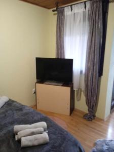 TV a/nebo společenská místnost v ubytování Krpan