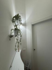 a plant on a wall next to a door at B&B La Meta in Benevento