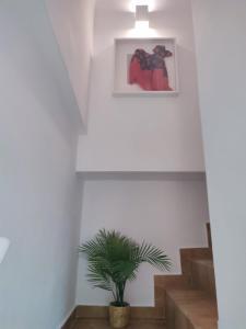 a stairwell with a potted plant and a picture at Apartamento Gitanilla in Chipiona