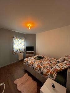 una camera da letto con un letto e una televisione di La maison castelpontine T3 a Pont-du-Château