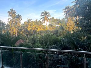 a view of a jungle with palm trees in the background at Hotel heaven by sky in Calangute