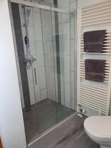 a glass shower in a bathroom with a toilet at Stolkerfelder Hof in Idstedt