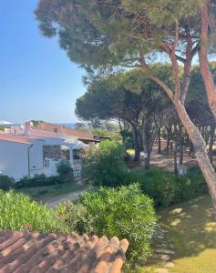 Blick auf einen Hof mit Bäumen und einem Haus in der Unterkunft Villa Bambi in Budoni