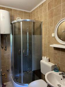 ein Bad mit einer Dusche, einem WC und einem Waschbecken in der Unterkunft Apartments Natalika in Podaca