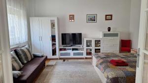 ein Wohnzimmer mit einem Sofa und einem TV in der Unterkunft Sissi Residence with free parking lot in Budapest