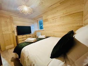 ein Schlafzimmer mit einem großen Bett und einem TV in der Unterkunft Au P'tit Randonneur avec terrasse - CLG - 1CH - 1 SDB in Chevillard