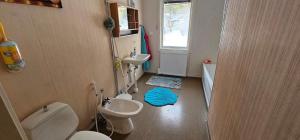 a bathroom with two toilets and a sink and a window at Hammarstrandvilla in Hammarstrand +47 photos