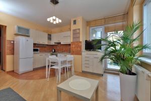 a kitchen with white appliances and a table and a plant at Apartament Słoneczny 6 in Opole