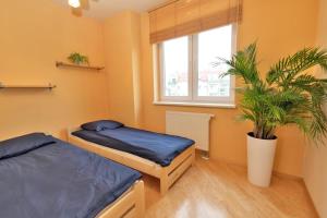 een slaapkamer met 2 bedden en een potplant bij Apartament Słoneczny 6 in Opole