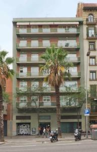 Comfortable 4 rooms 2Bath w balcony في برشلونة: مبنى طويل عليه نخلة