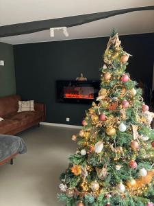 a christmas tree in a living room with a fireplace at La maison de Timao in Hannut