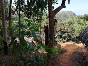 Gallery image of Bindhya Huts in Gokarna