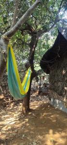 Gallery image of Bindhya Huts in Gokarna