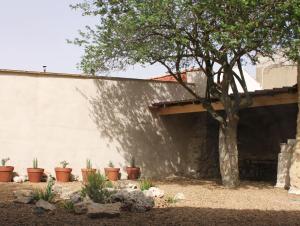 uma parede com vasos de plantas ao lado de uma árvore em La Real Urueña em Urueña