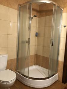 a shower stall in a bathroom with a toilet at Folwark Polski in Ostrów Wielkopolski