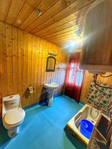 a bathroom with a toilet and a sink at Pasadona Floating Houseboat in Srinagar