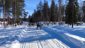 Le Paradis Blanc en invierno