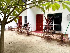 una casa con algunas plantas delante de ella en Thoddoo Island Life, en Thoddoo