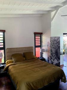 een slaapkamer met een groot bed in een kamer bij Ti Cottage sous les Tropiques in Les Avirons