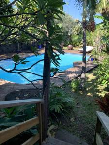 una piscina in un cortile con un albero di Ti Cottage sous les Tropiques a Les Avirons