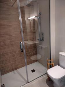 eine Duschkabine im Bad mit WC in der Unterkunft Apartamentos Las Pasaeras in Montehermoso