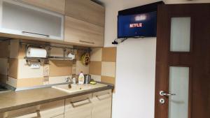 a kitchen with a sink and a tv on the wall at Apricot Blossom Otopeni in Otopeni