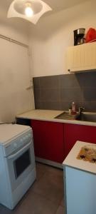 Virtuvė arba virtuvėlė apgyvendinimo įstaigoje Appartement lumineux