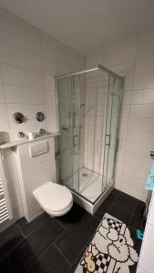 a bathroom with a toilet and a glass shower at Ferienwohnung Lea in Bad Reichenhall +6 photos