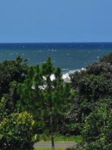 un árbol en una colina con el océano en el fondo en Utopia in Palm Beach, en Port Edward