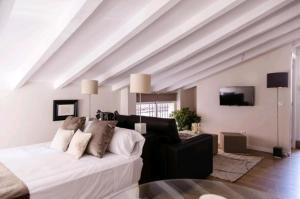 バレンシアにあるloft con terrazaのリビングルーム(ベッド1台、ソファ付)