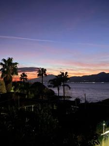 a view of the water and palm trees at sunset at Thalassa Suite & Spa in Reggio Calabria