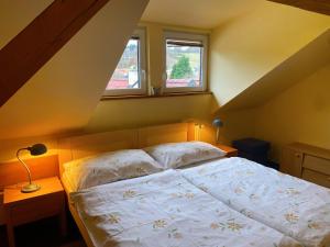 ein Schlafzimmer mit einem Bett und zwei Fenstern in der Unterkunft Penzion Pod Ždánovem in Nezdice