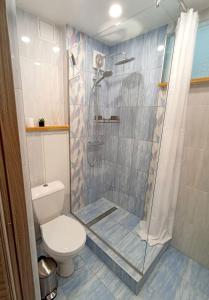 a bathroom with a shower and a toilet at Vytekstos Apartamentai in Druskininkai