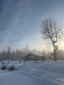 a snow covered yard with a house and a tree at Chill Village in Biei