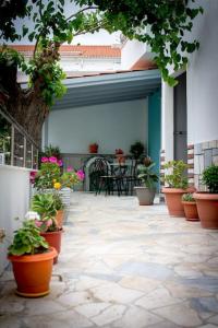 Spacious Apartment in the heart of Pythagorion في بيثاغوريو: فناء به نباتات الفخار وطاولة وكراسي