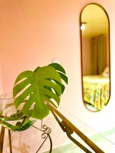 a green plant sitting on a table in front of a mirror at La vita hospedaria (Quarto Rosa) in Nova Veneza