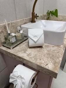 a bathroom counter with a sink and a towel at La vita hospedaria (Quarto Rosa) in Nova Veneza